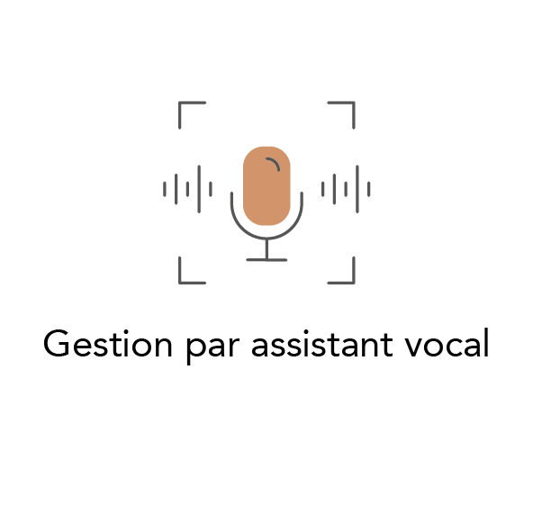 gestion_assistant_vocal