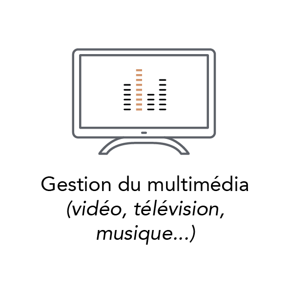 gestion_multimedia